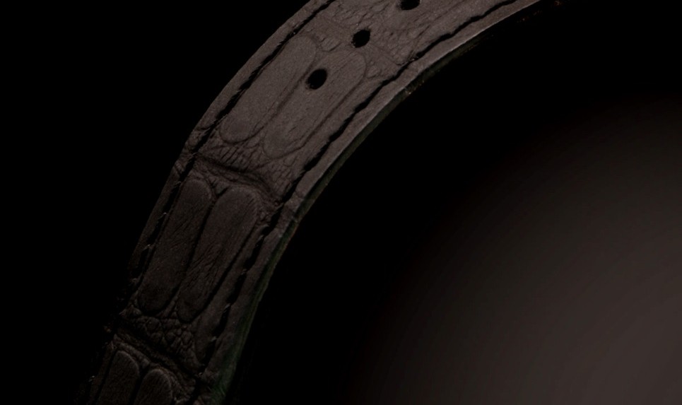 Mauron Musy - Alligator Mississippiensis véritable