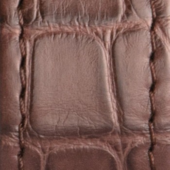 Mauron Musy - Brown-Alligator